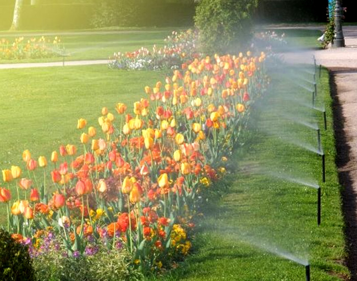 Automatizzare l'irrigazione del tuo giardino con la domotica